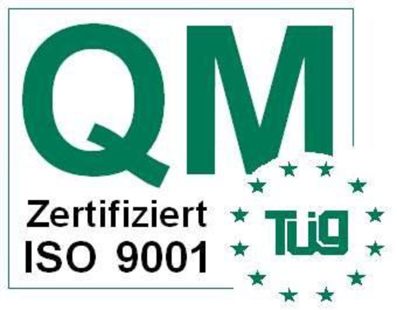 Auszug Auditbericht ISO 9001:2008 vom 16.04.2009